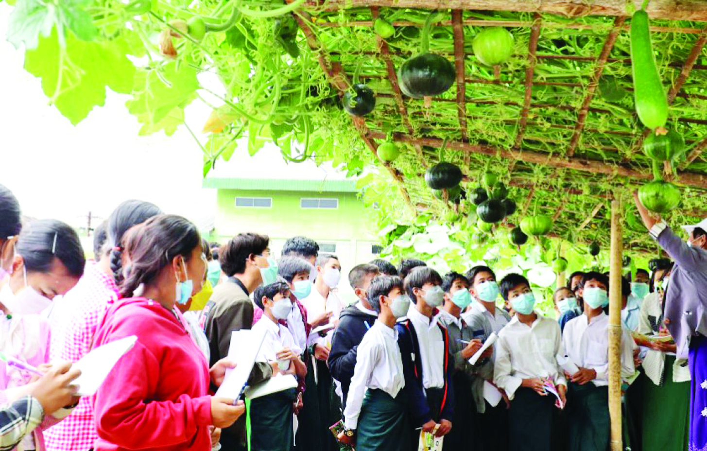 ဆောင်းပါး