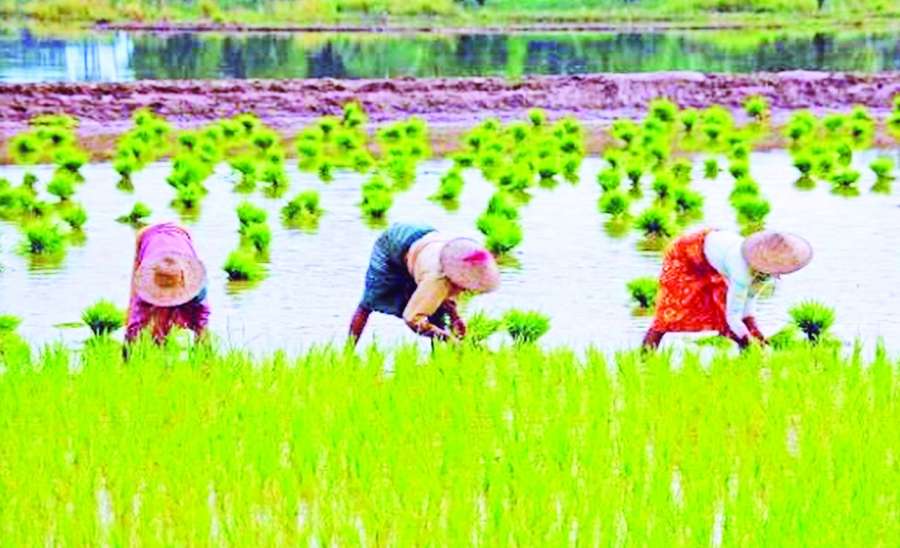 ဆောင်းပါး