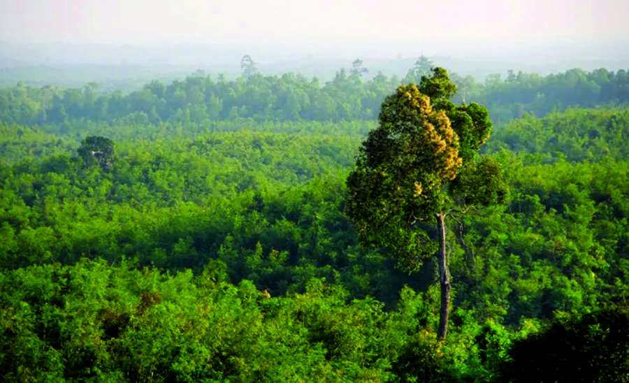 ဆောင်းပါး