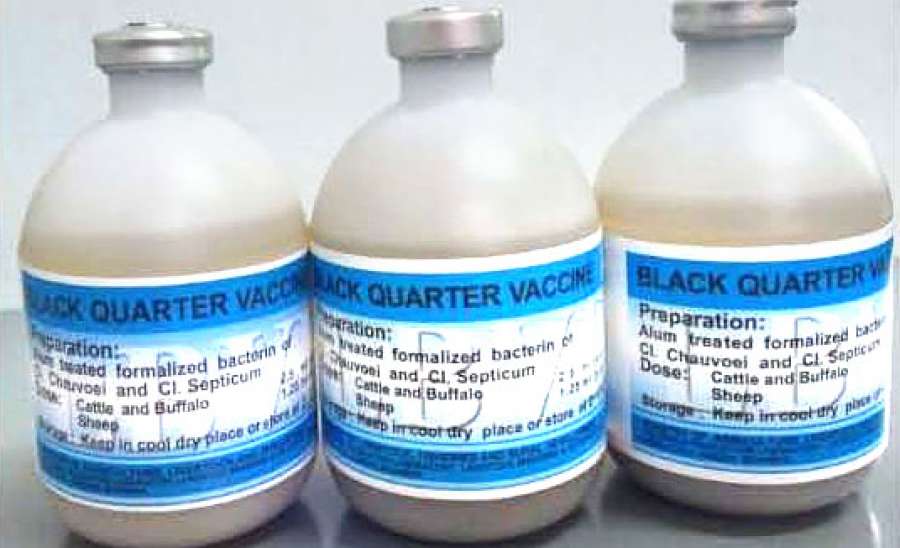 ဆောင်းပါး