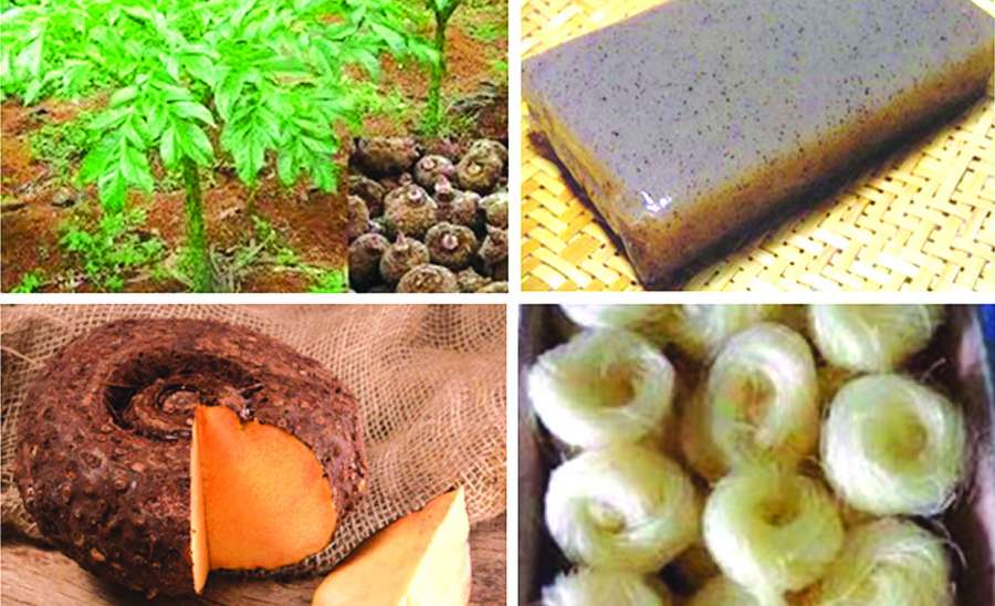 ဆောင်းပါး