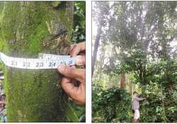 စိုက်ပျိုးရေး