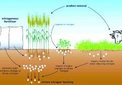 ဆောင်းပါး