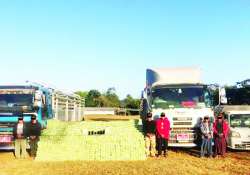 ဆောင်းပါး