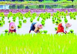 ဆောင်းပါး