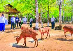 ဆောင်းပါး