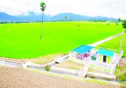 ဆောင်းပါး