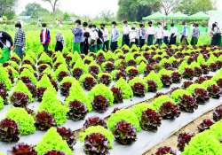 ဆောင်းပါး