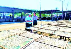 ဆောင်းပါး