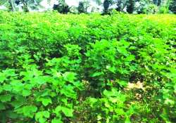 ဆောင်းပါး