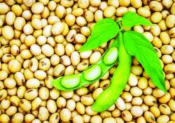 ဆောင်းပါး