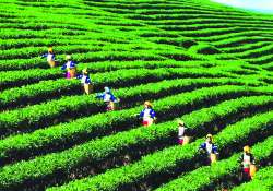 ဆောင်းပါး