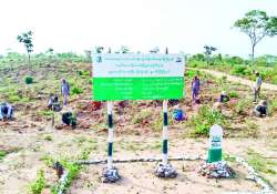 ဆောင်းပါး