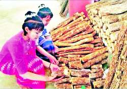 မြန်မာ့သနပ်ခါးကို ကမ္ဘာကသိစေဖို့ ပူးပေါင်းဆောင်ရွက်ကြပါစို့