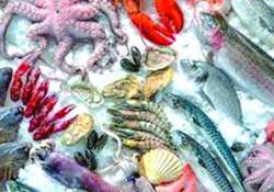 ဆောင်းပါး