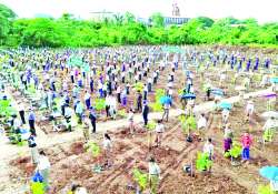 မြေဆီစိုခိုက် သစ်ပင်စိုက်ကြပါစို့