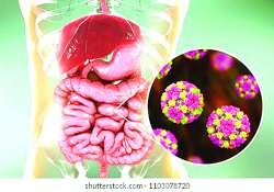 ဆောင်းပါး