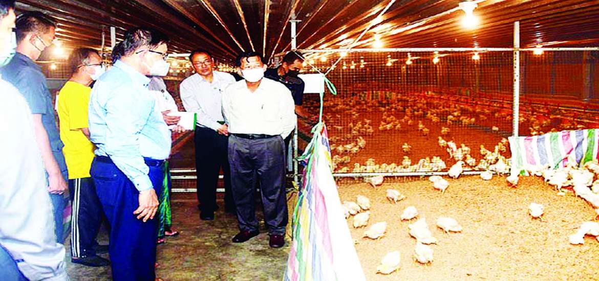 ညောင်နှစ်ပင်၏ အနာဂတ်