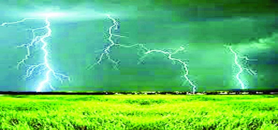 ဆောင်းပါး