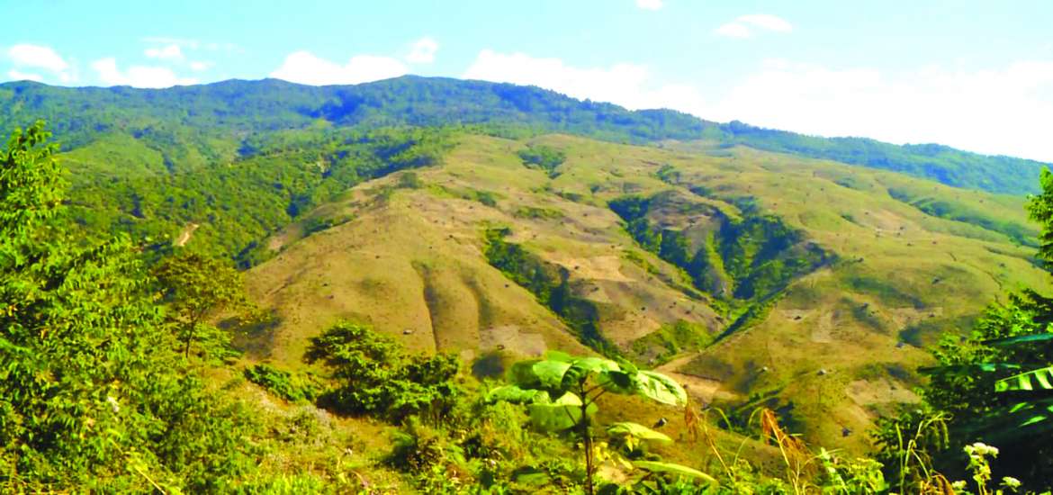 ဆောင်းပါး