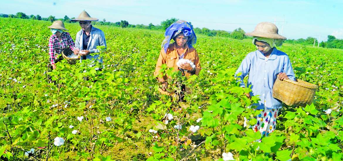 ဆောင်းပါး