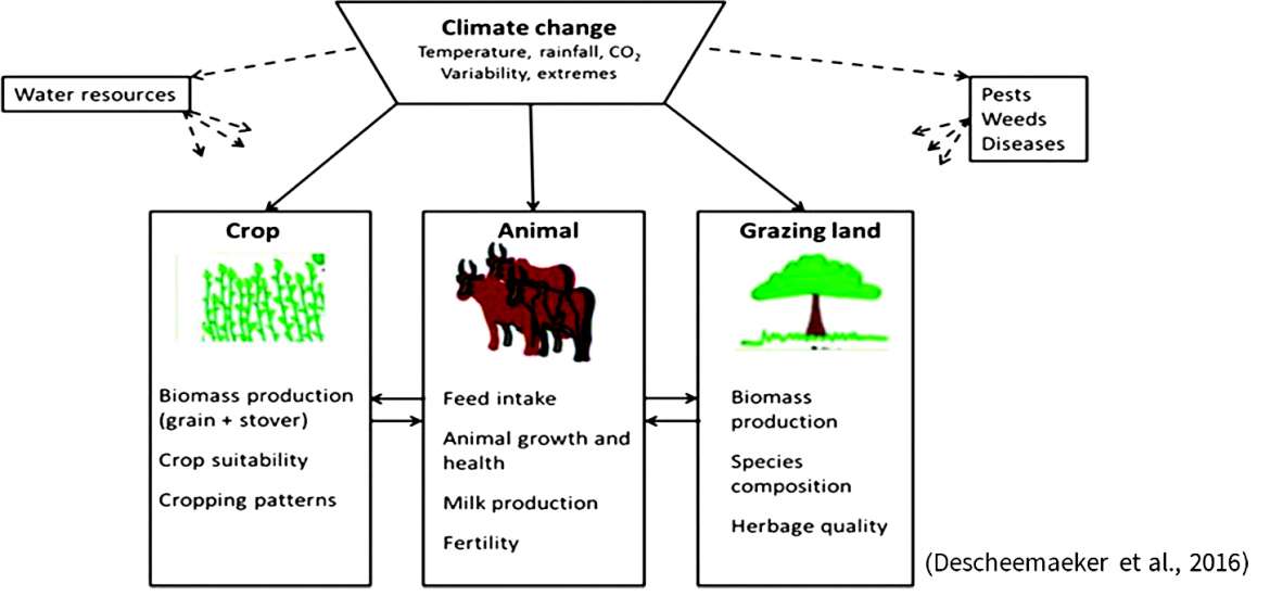ရာသီဥတုပြောင်းလဲမှုကိုကျော်လွှားရေး စိုက်ပျိုးမွေးမြူရေး ပေါင်းစည်းစနစ်ဖော်ဆောင်ပေး