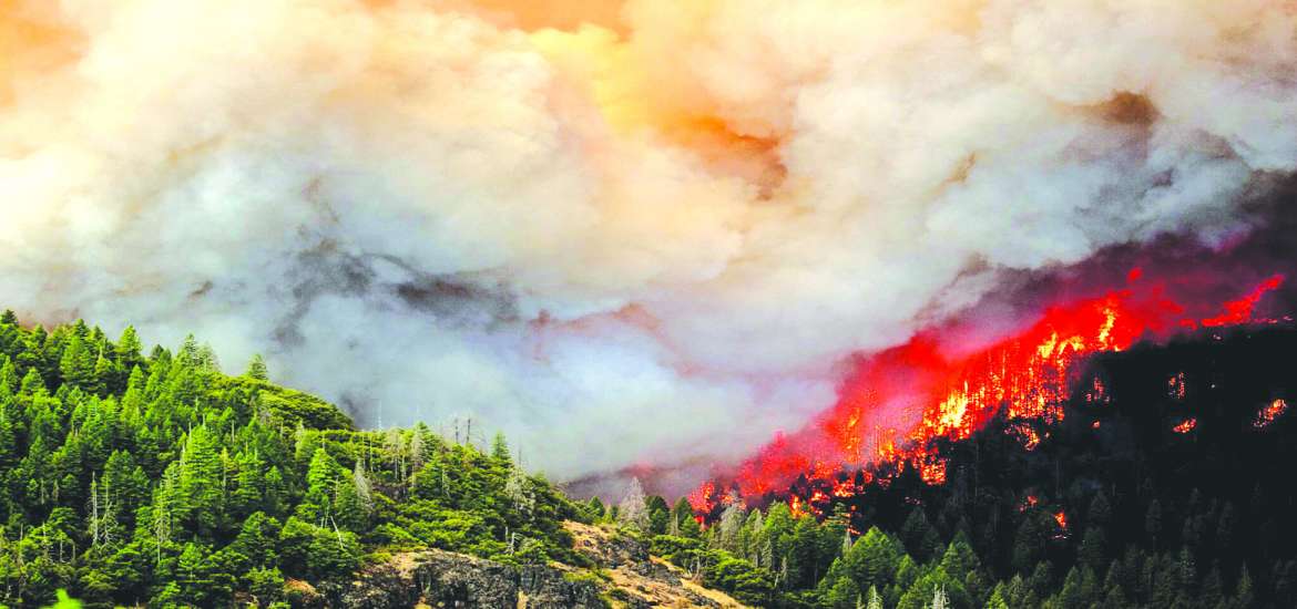 ဆောင်းပါး