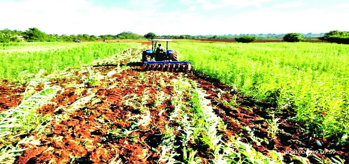 ဆောင်းပါး