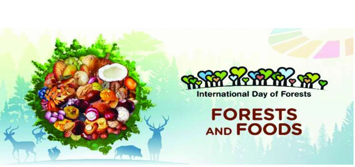 ဆောင်းပါး