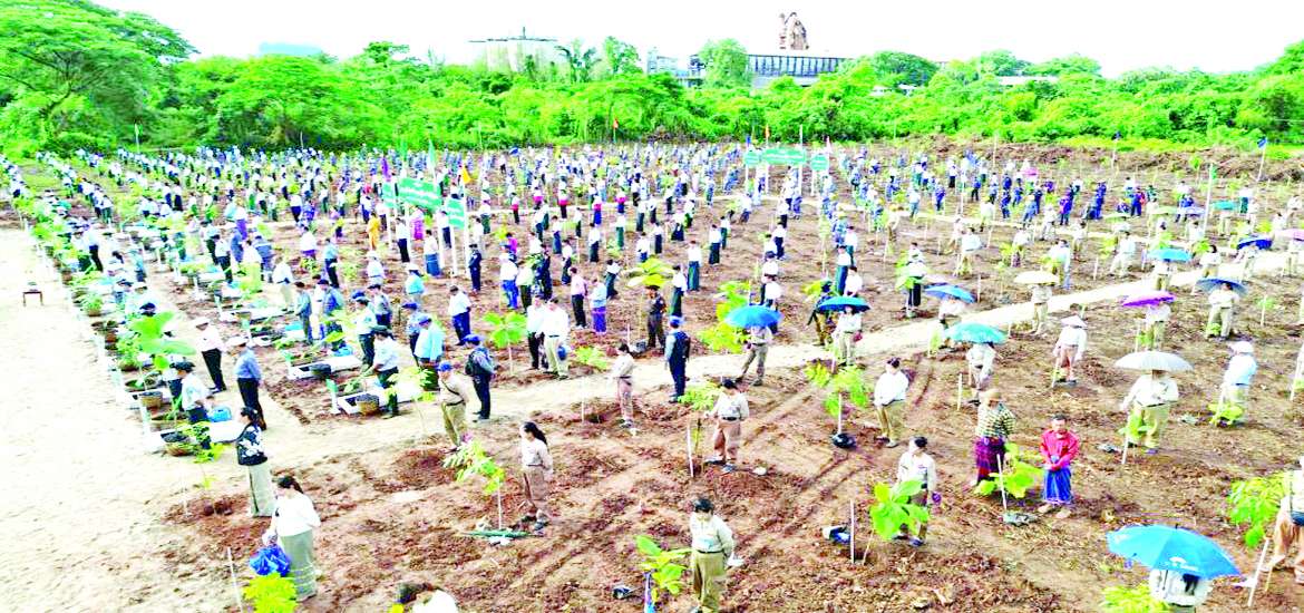 မြေဆီစိုခိုက် သစ်ပင်စိုက်ကြပါစို့